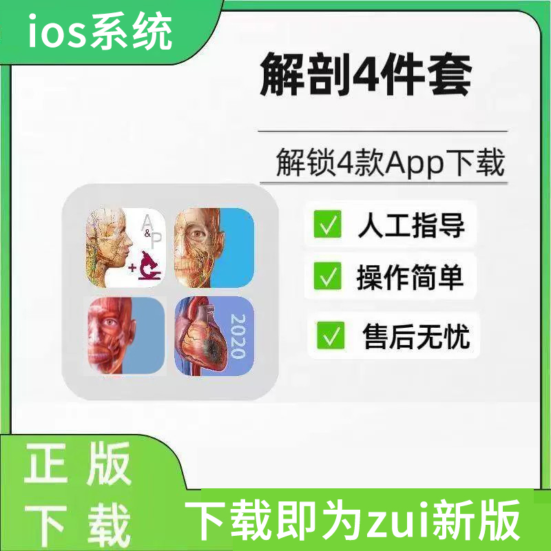 解锁骨骼与肌肉秘密的彩色超声图谱