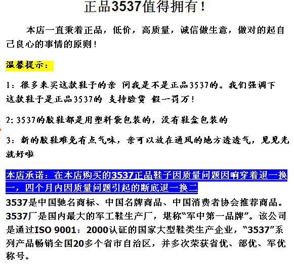 Bottes militaires en toile - porter - Ref 1399752 Image 3