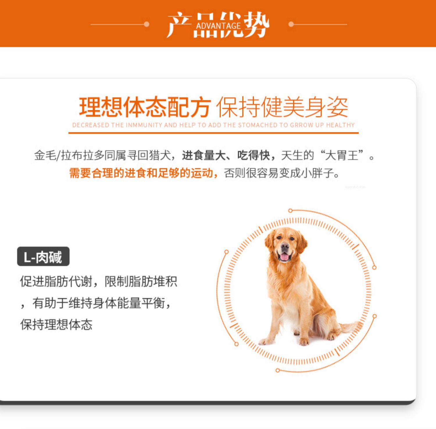 Golden Retriever / Labrador Thức ăn cho chó trưởng thành Đặc biệt Master 5 kg Chó lớn 10 Mei Mao Thức ăn cho chó tự nhiên - Chó Staples đồ ăn của chó