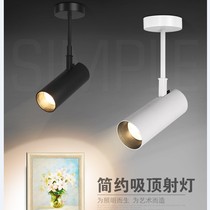 Spotlight led track light telescopic long pole boom rail light clothing store loft long arm surface mounted horizontal wall light