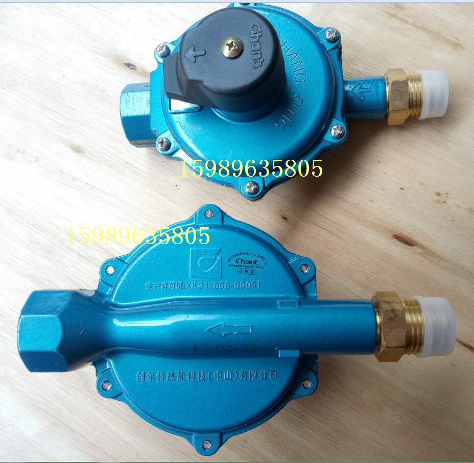 Evergreen Soundment RTZ-41-20 liquefied gas gas pipe table front pressure reducing pressure booster furnace front low pressure valve