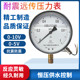 Constant pressure water supply controller earthquake-resistant remote pressure gauge