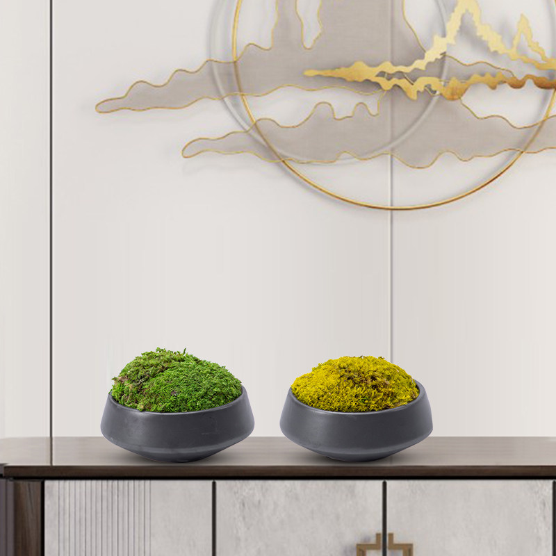 New Chinese immortal green moss bonsai ornaments model house sample house display center table flower decoration Zen decoration green plant flower art