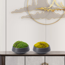 New Chinese-style permanent moss moss pot shaft plate room tableflower decoration green flower art