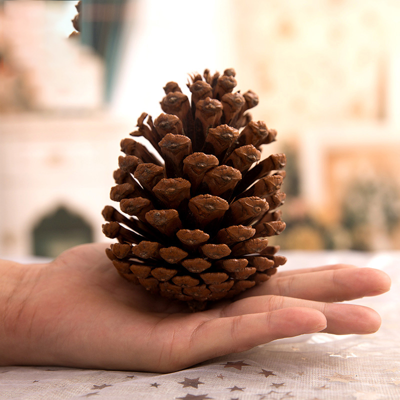 Christmas decorations Natural pine cone dried DIY photographic props Christmas tree pendant