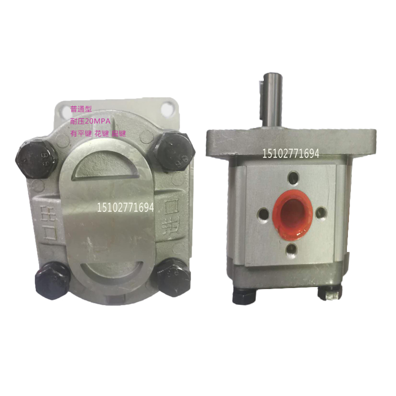 CBN F304 F306 F306 F310 F314 F316 F316 F320 F325 F325 hydraulic oil pump gear pump