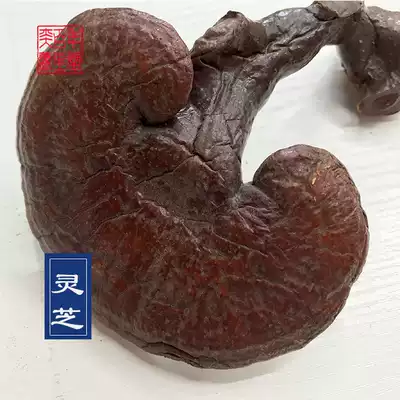 Chinese herbal medicine batch zero Ganoderma lucidum 500 grams physical store quality assurance soak wine Health
