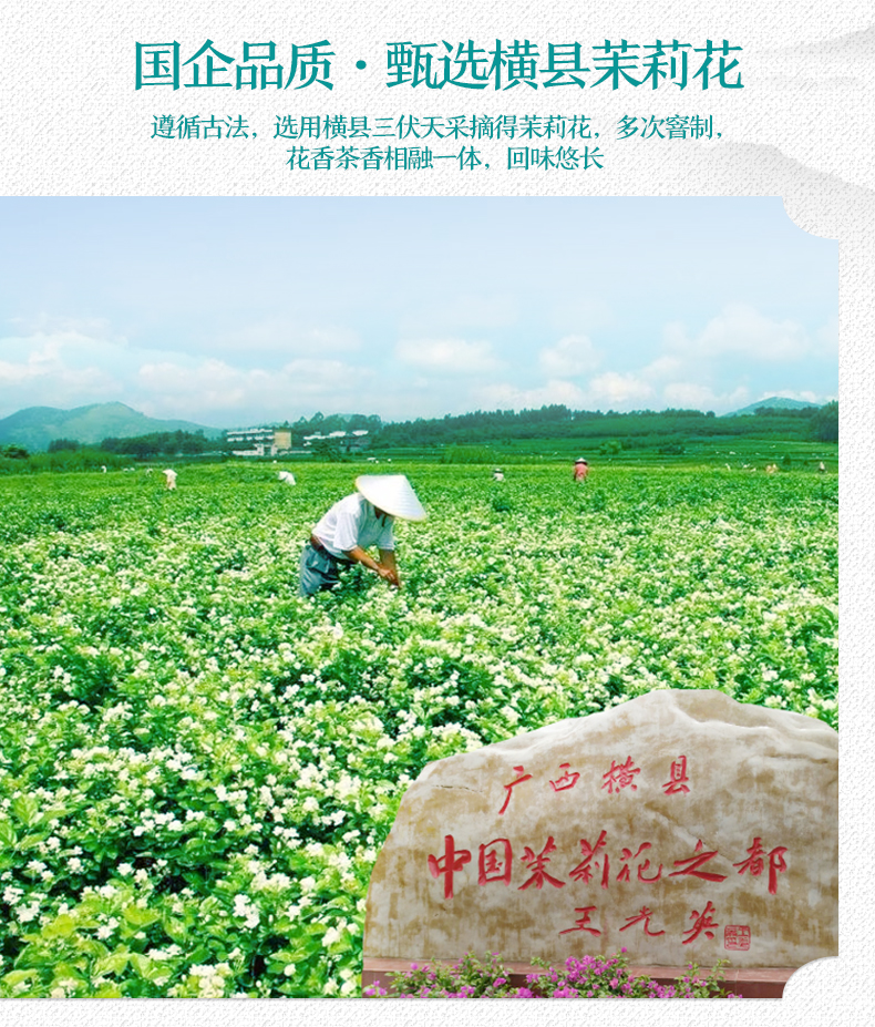 中华老字号 京华 京味京韵 特级浓香茉莉花茶 250g*2罐 图4