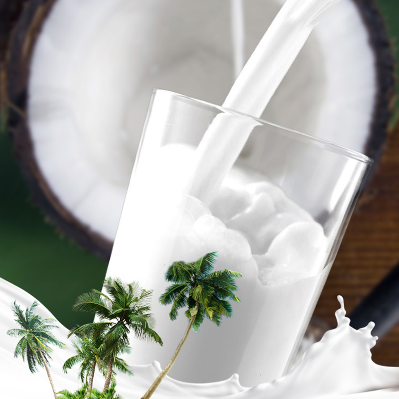 Coconut Tree Brand Sugar-Free Coconut Juice 245ml*24 Cans Full Box Authentic Hainan Specialty Water Milk Plant Juice Beverage
