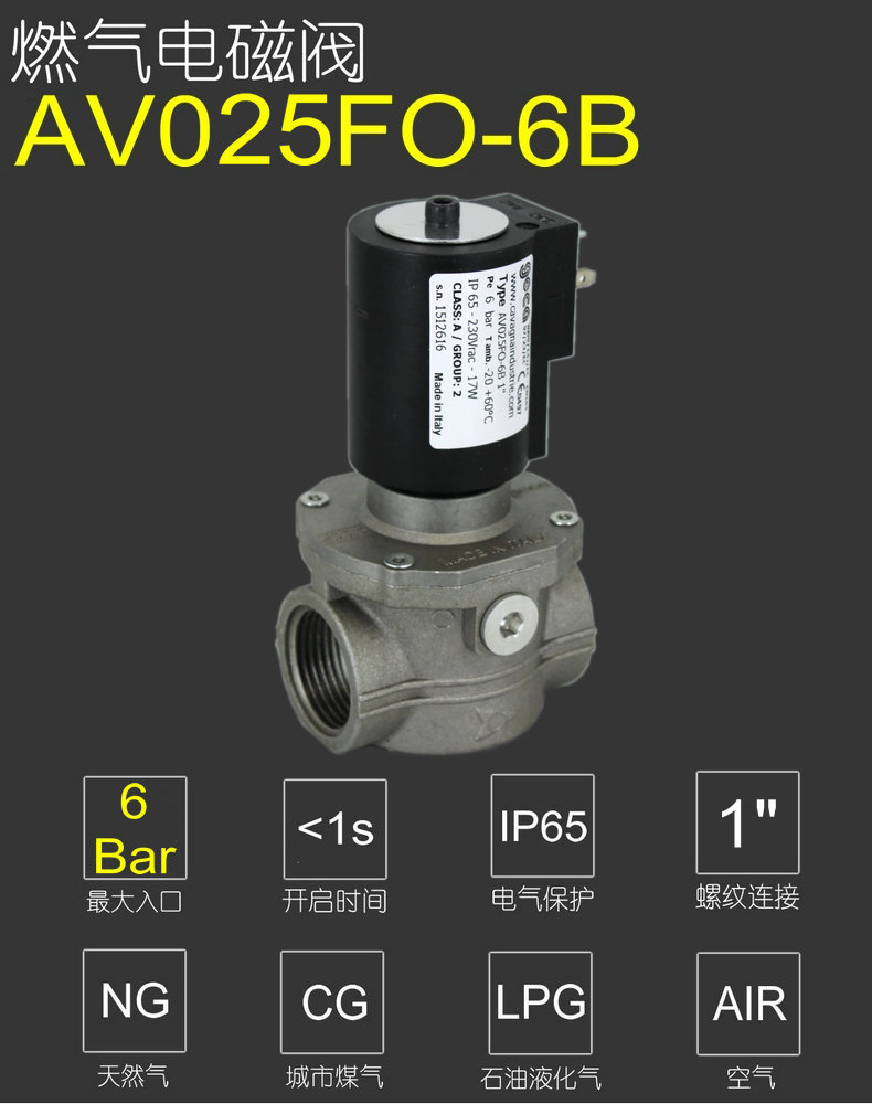 AV025FO-6B_790_P1封面.jpg