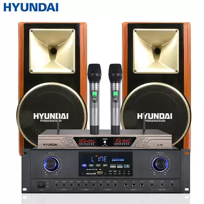 Hyundai OK500 K-1500 home theater KTV audio set karaoke conference stage amplifier speaker