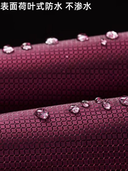 暴龙电动车雨披单人加大加厚男女新款电瓶车摩托车雨衣成人防暴雨