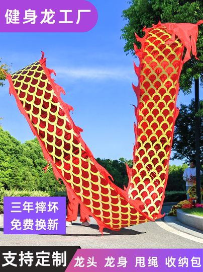 Square Dance Dragon with Colorful Ribbons, Fitness Dragon for Middle-Aged and Elderly Adults, Sports Hand-Waving Props, Children's Beginner Colorful Silk Steel Frame Dragon Head