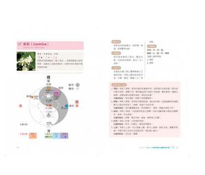 预售【台版】快速学会中医芳疗，提升配方疗愈效果：用「褚氏太極」原理，剖析50種精油的藥性、歸經功效、身心靈作用 大樹林出版