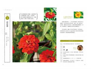 现货【外图台版】零失败种子栽培全学习/梁群健，徐骏逸着/麦浩斯出版