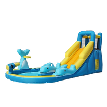 Drefrogs Gut Large Slide Lastle Castle Dumping Castle Pumping Toy