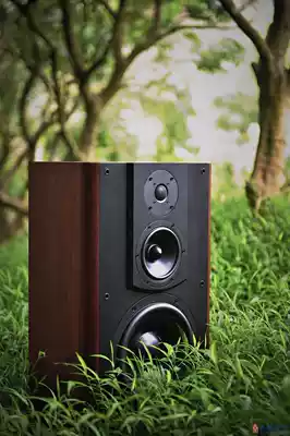 Lao Qin --- Qin Dynasty advanced flagship Bookshelf Box qt10-bookshelf quot