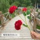 3 -боловый Peony Red