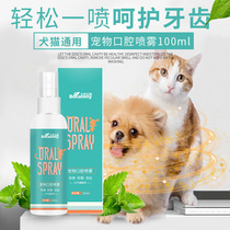 Paoley Beauty Dew Oral Deodorant Spray 100ml Pooch To Mouth Stink Clean Spray Kitty Pets Breath Fresh