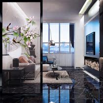 Modern simple living room screen transparent double-sided art glass bedroom light-transmitting decoration Chinese porch happy brow