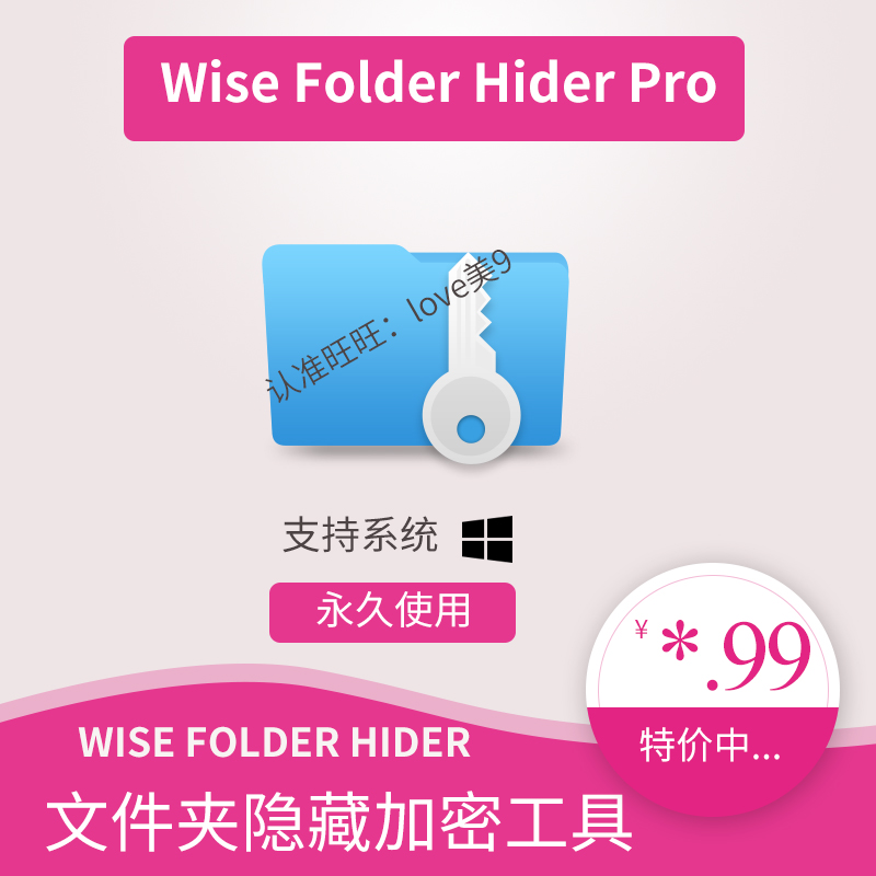 Wise Folder Hider Pro 4 3 9 199 folder hidden encryption software tool