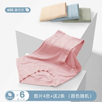 【Modal-Into Bacterburbin】 5825