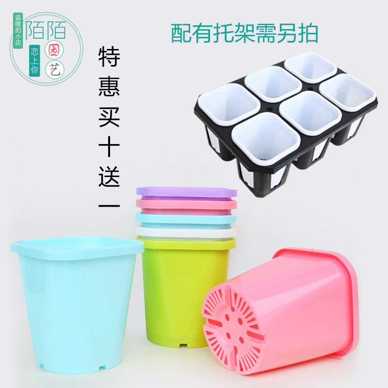 陌陌園藝酢醬草花盆多肉植物塑料方形花盆多肉萬象盆月季綠植花盆