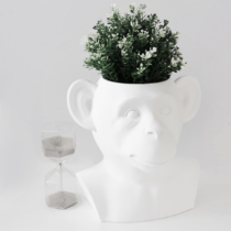 May a self-employed creative statue monkey flowerpot three-dimensional animal creative designer flowerpot