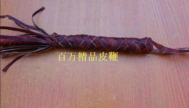 Article sports equestres - Ref 1383466 Image 21