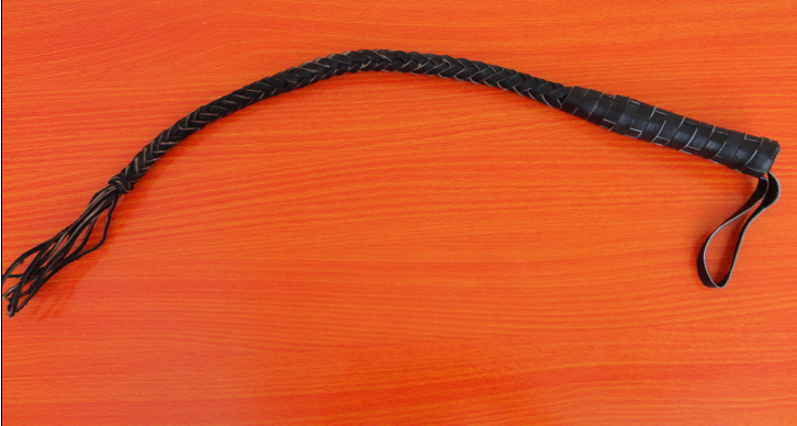 Article sports equestres - Ref 1380302 Image 31