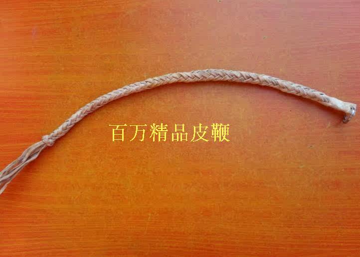 Article équitation - Ref 1381891 Image 16