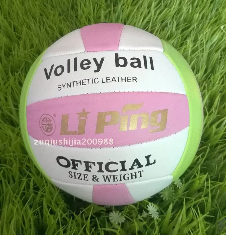 Ballon de volley - Ref 2008368 Image 6