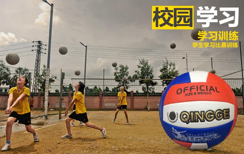 Ballon de volley-ball - Ref 2012281 Image 6