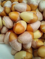 今年新货白果银杏手工剥壳一斤