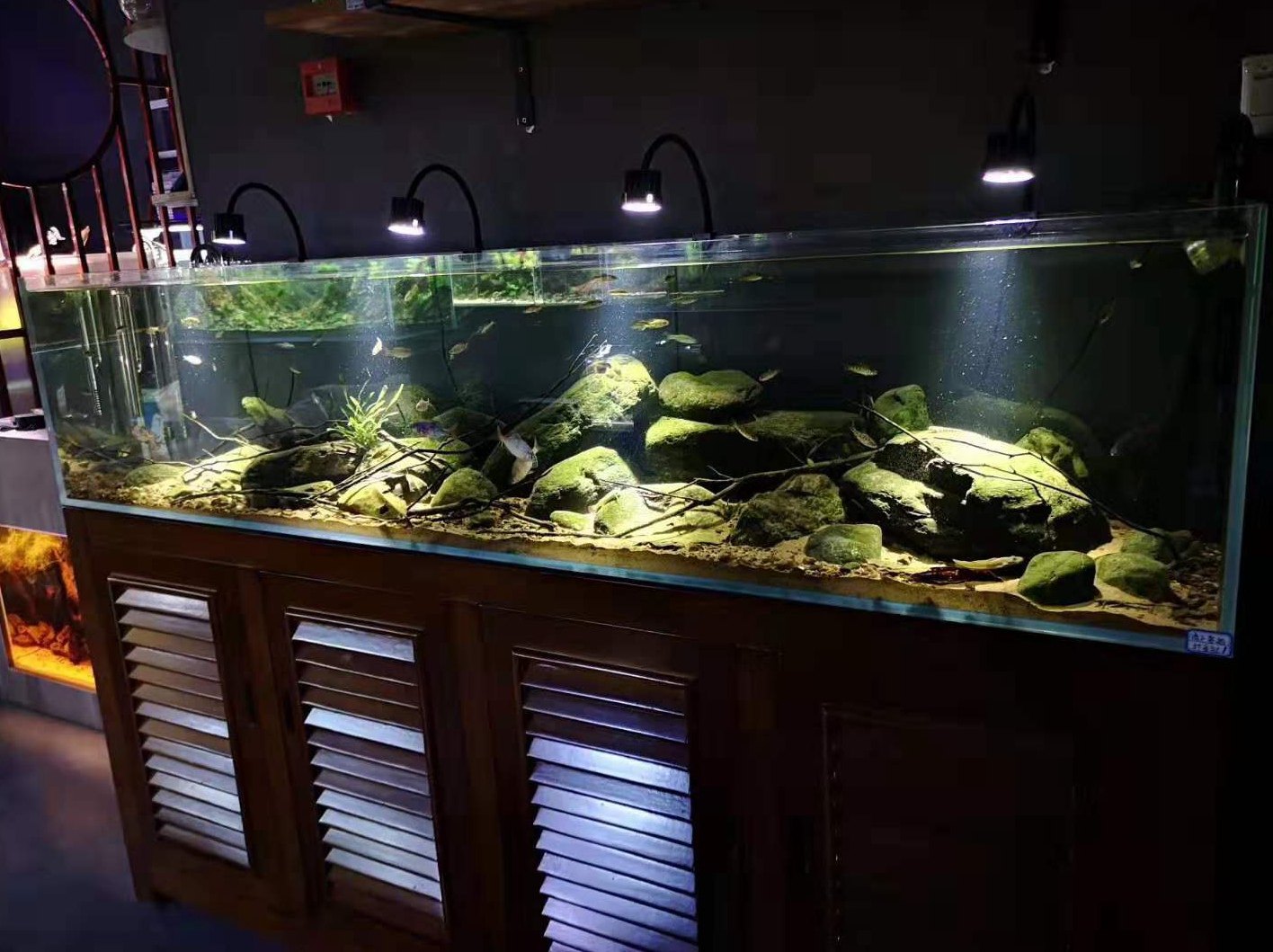 [USD 24.26] Blue water wind and LED fish tank spotlight South American ...