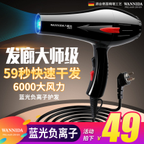 Deseries Hair Salon Hair Dryer Home Power High Power Hairdryer Electric Blow Wind Duct Cold Hot Air Blue Light Negative Ions Not Hurt