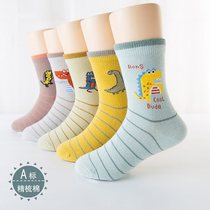 Childrens socks pure cotton autumn and winter boys 3 cartoon 5 cute 7 dinosaur 9 winter cotton children 10-12-15 years old