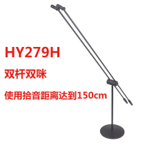 Vertical single and double pole double microphone Professional chorus microphone Stage awards performance speech condenser conference microphone