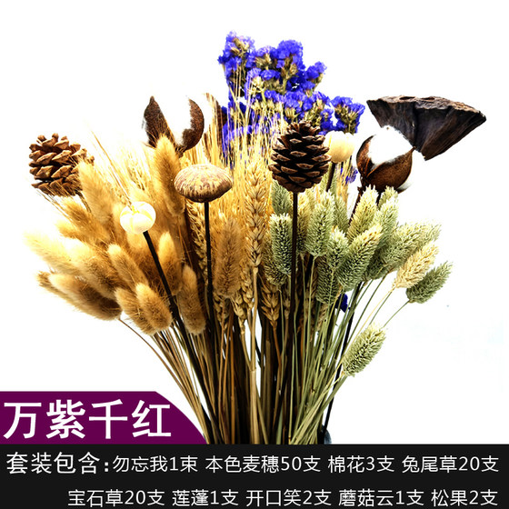 Natural wheat ears dried flowers real bouquet opening barley pastoral decoration ornaments starry rice ears shooting props gifts