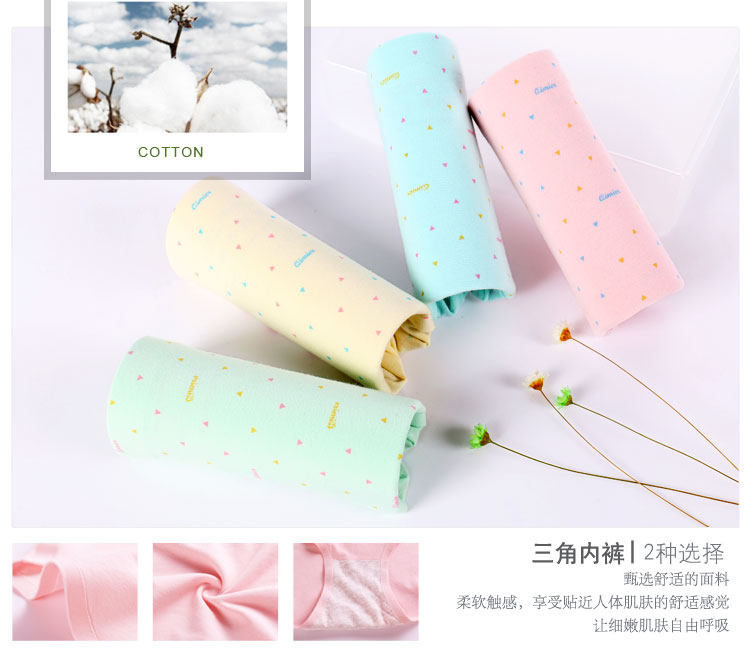 Slip jeunesse WN001 en coton - Ref 642201 Image 7
