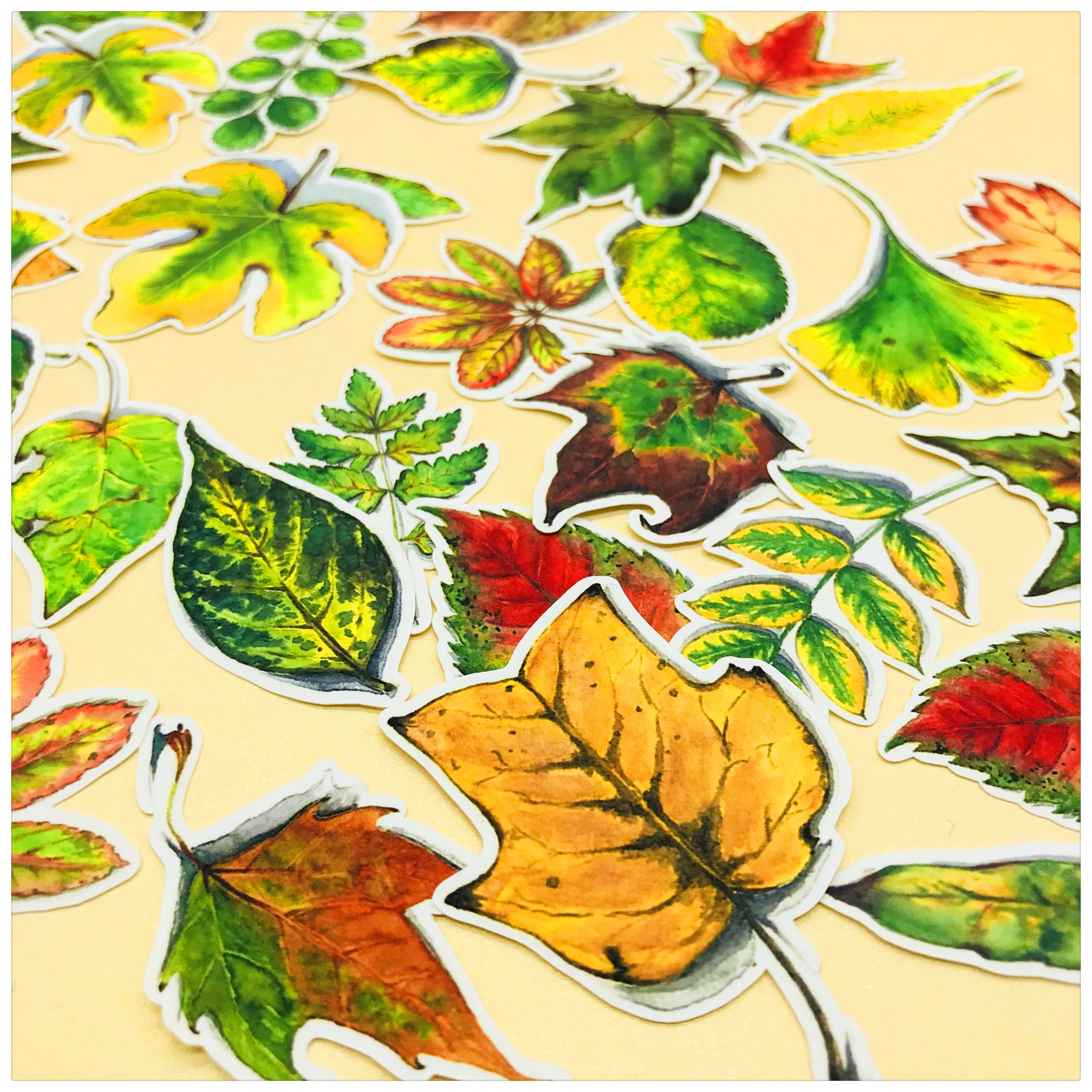Hand account sticker pack 34 pieces of one leaf Hand account sticker photo album decoration 25 yuan