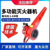 High Power Blowing Snow Machine Back Negative Type Greenhouse Wind Extinguisher Road Sweeping Blow Deciduous God Instrumental Petrol Hairdryer