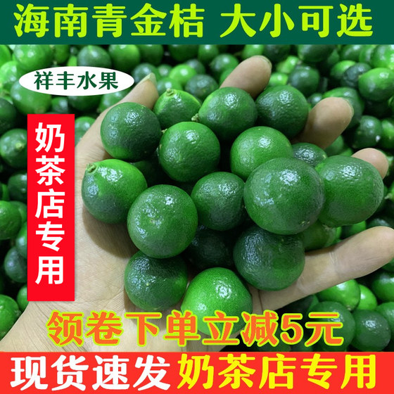 Authentic Hainan fresh small kumquat 5Jin [Jin equals 0.5kg] green kumquat small green orange small lemon yogurt tea special whole piece