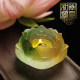 Buddha hall Qibao glass lotus candlestick colorful lotus lamp holder for Buddha Guanyin lamp candle holder butter lamp holder