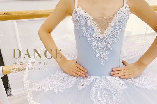Children adult swan ballet dance performance costume professional Swan Lake ballet TUTU gauze skirt blue bird puff skirt