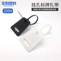 Disposable plastic seal container oil tanker ramp up logistics label straps can be affixed with a note sign with ticks