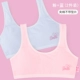 X6182 Pink Blue-No Model Model [2 Pack]