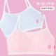 X6181 Pink Blue-No Model Model [2 Pack]
