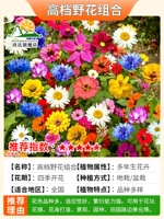 Комбинированная комбинация полевых цветов 1000 зерен удобрений+корневой порошок