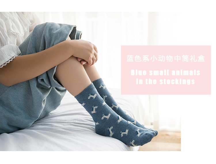 Caramella mùa thu và mùa đông bông phim hoạt hình nữ vớ hộp quà tặng stereo tai 3 đôi đóng hộp ống Nhật Bản và Hàn Quốc phiên bản của các trường đại học gió vớ nam